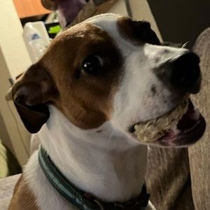 Meet your Posher, Lili